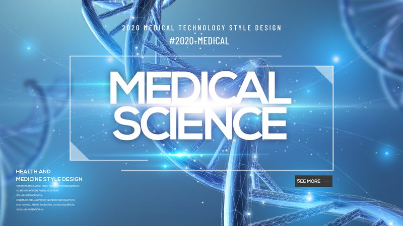 揭秘CDMO服务流程：项目管理中的关键环节