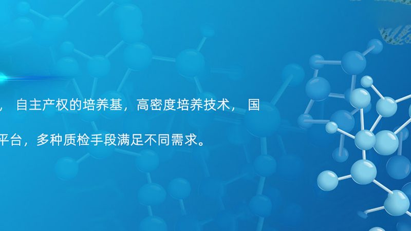 cro优化服务，如何规避常见误区，提升研发效率