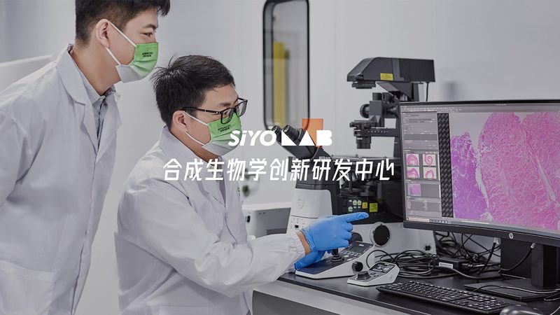 引物合成错误率0.1%正常吗