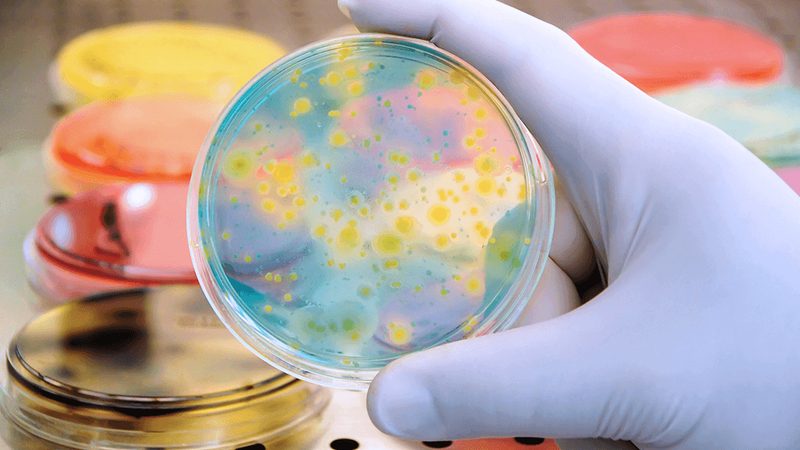 生物制品批发价格波动背后的逻辑**