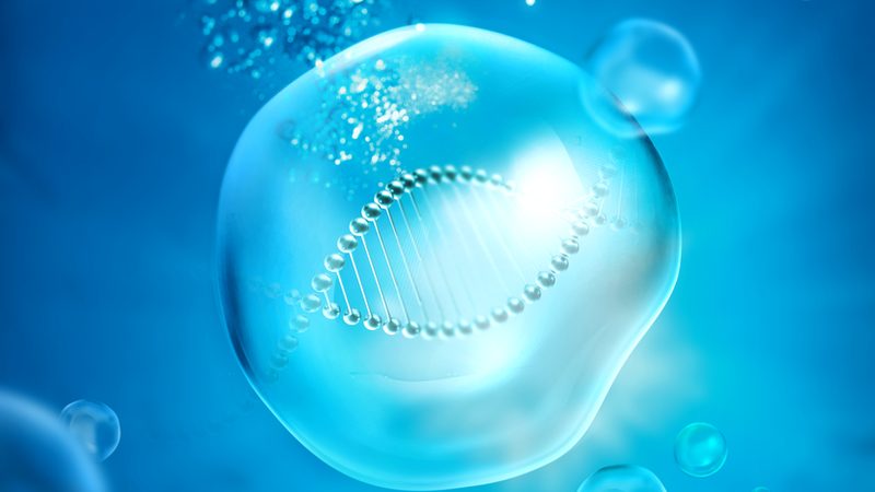 PP、PS、PC还是PMP？微量离心管材质到底差在哪