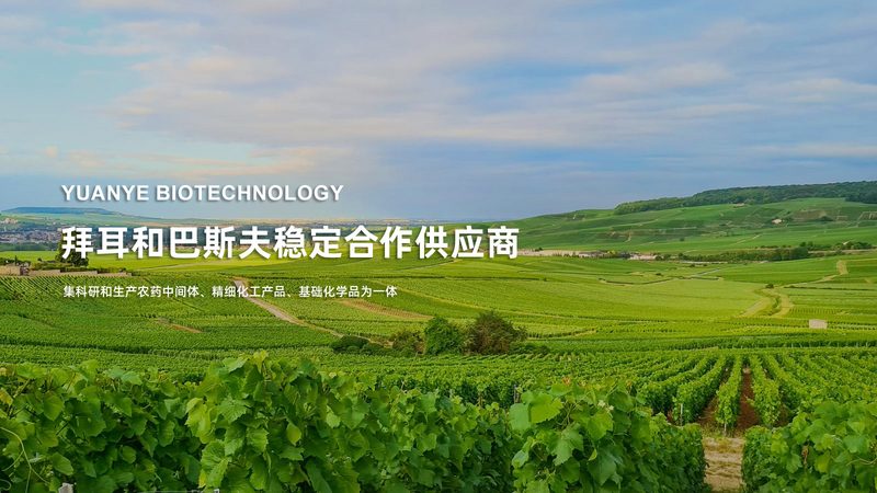 生物医药外包采购流程：关键步骤与注意事项**