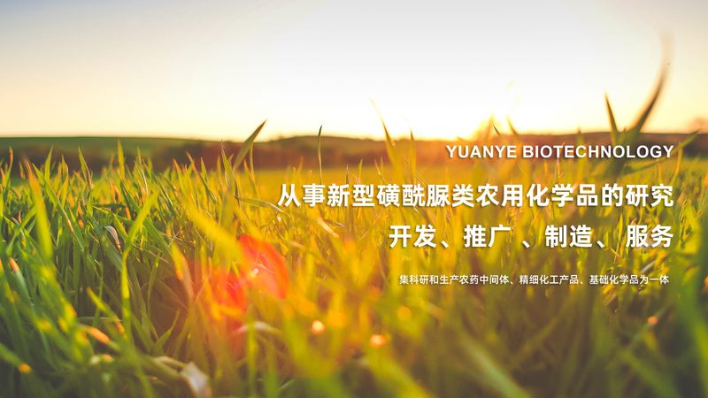 基因测序样本采集管选择