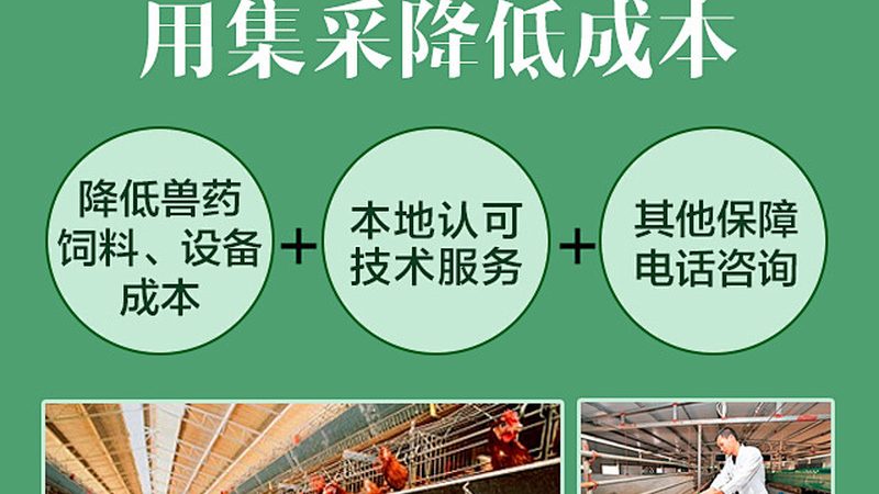 科技有限公司