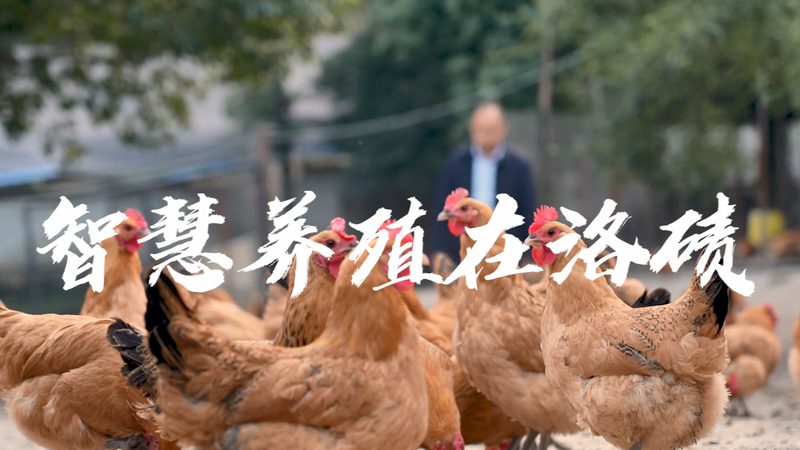 单道移液器校准，这些规范你了解吗？**